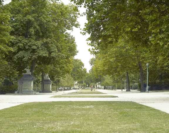Brussels park with vibrant green trees