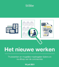 Ebook Het nieuwe werken