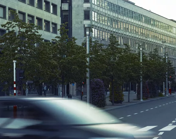 Brussels boulevard with row of trees separating traffic in opposite directions