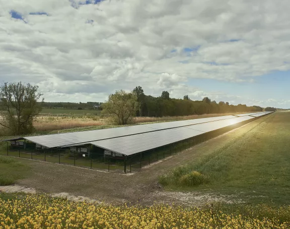 Solar panels in landscape zonnepanelen in weiland
