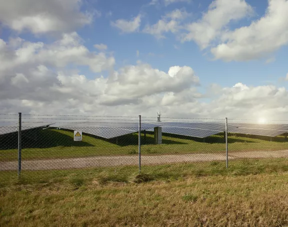 Mastbos solar panels zonnepanelen in weiland