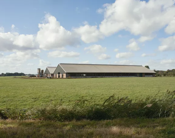 Mastbos farm in fields