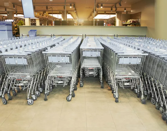 Shopping carts supermarket