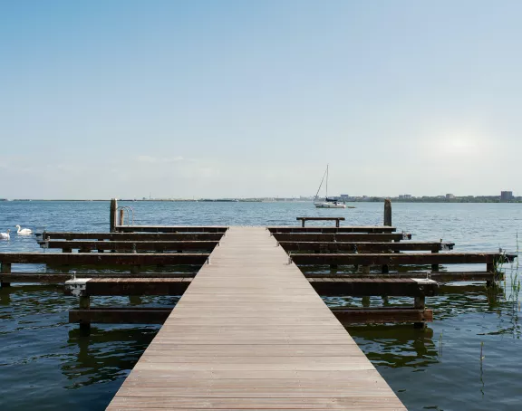 Steigers aan het water met riet