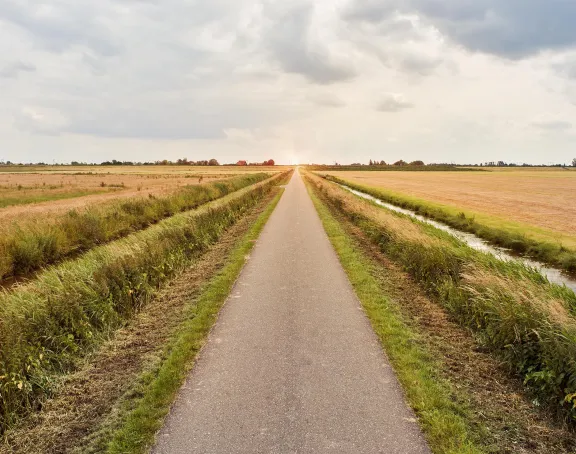Road in between grassland