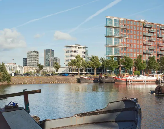AMS city visual 49