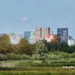 Grass field with Zuidas skyline