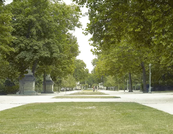 Brussels park with vibrant green trees