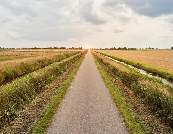 Road in between grassland