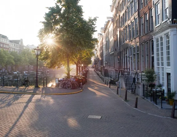 AMS city visual 58