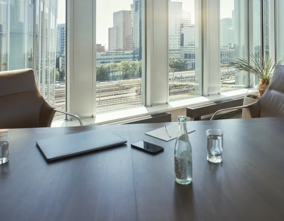 professional services