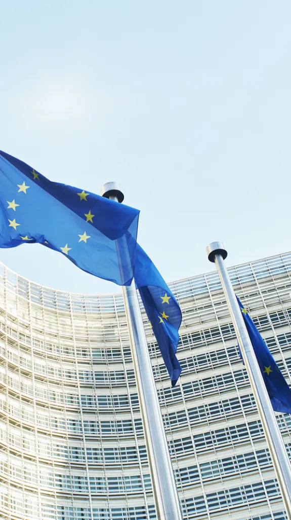 European Parliament in Brussels